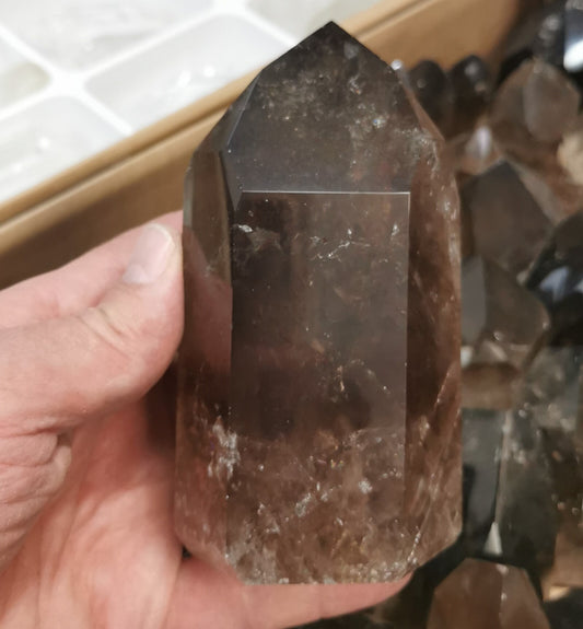 Pointe Quartz fumé