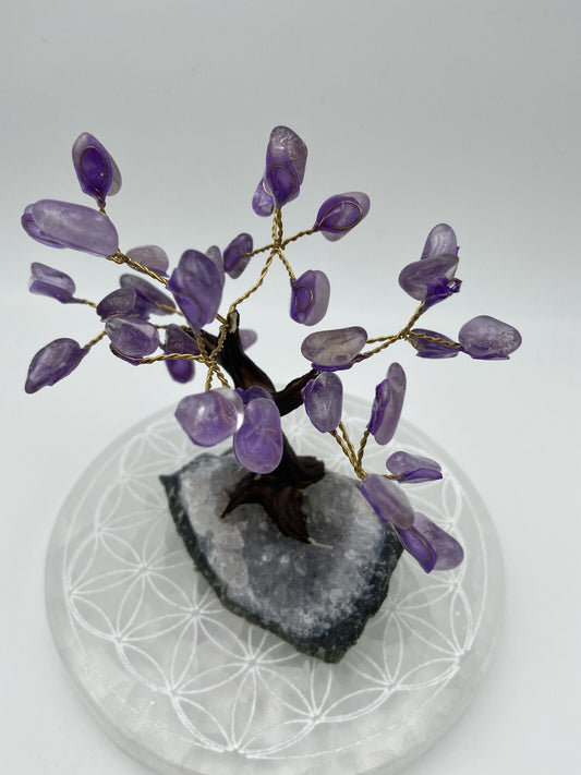 Arbre de vie - Améthyste