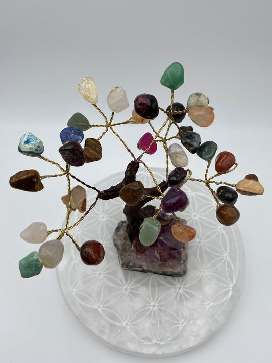 Arbre de Vie - Mix de Pierres