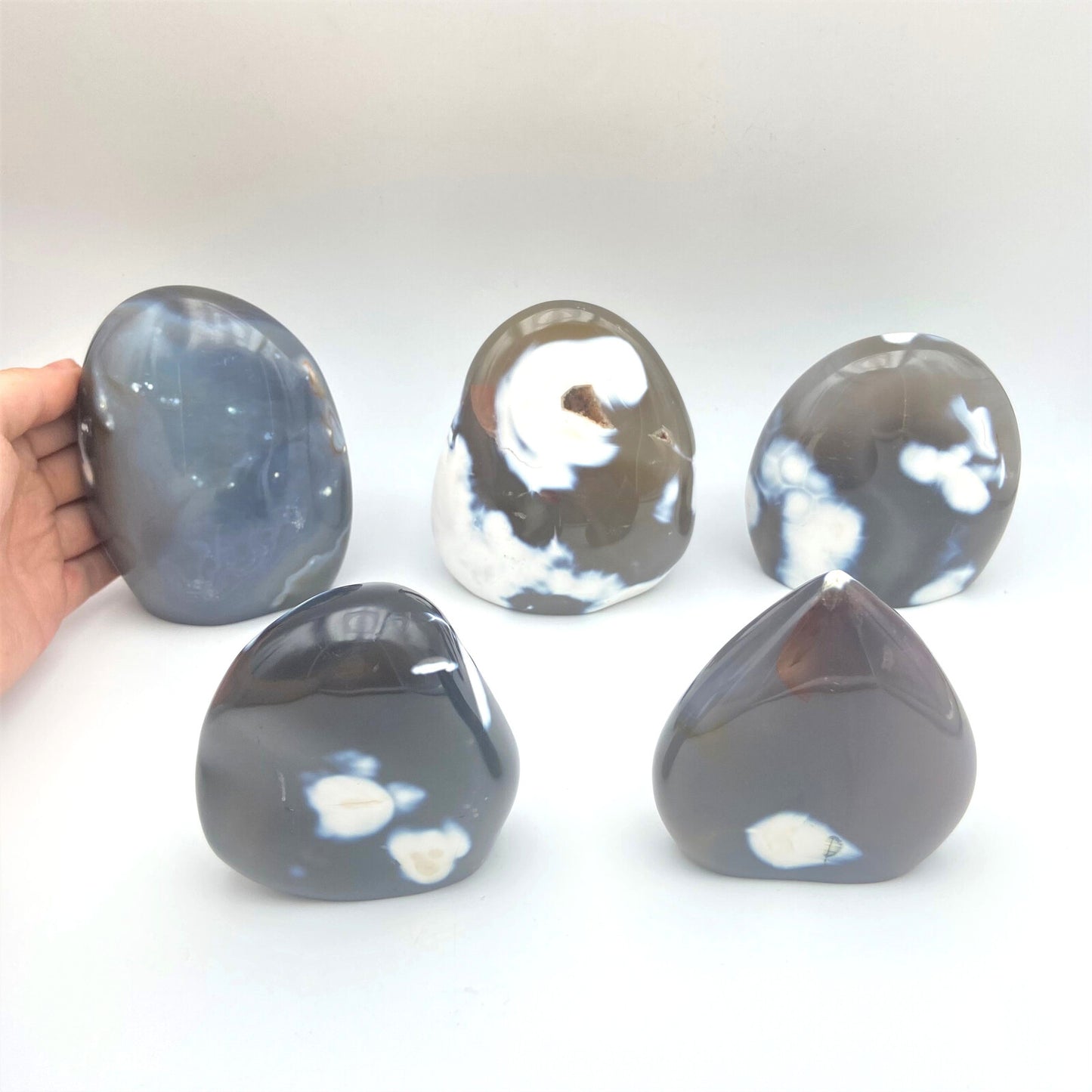 Lot de 5 Formes Libres - Agate Orque n°2
