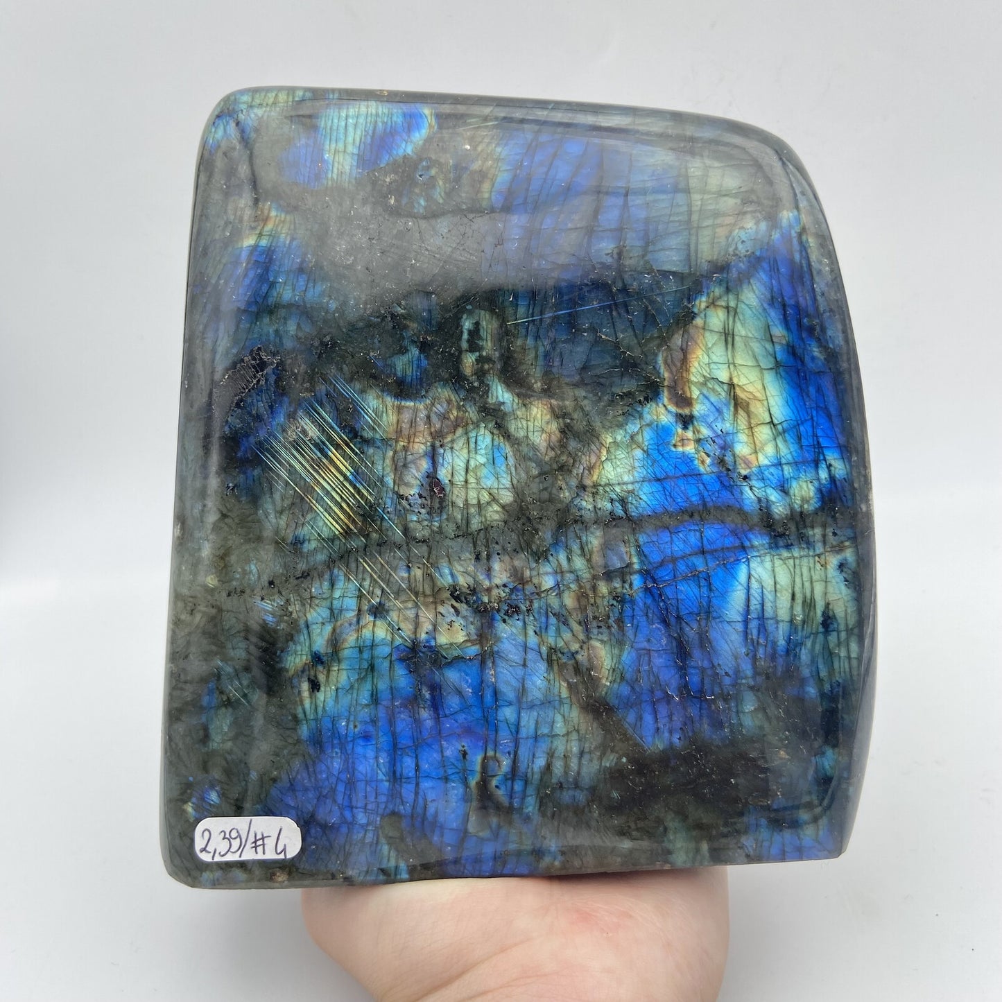 Forme Libre - Labradorite (pièce n°4) - 2,390 kg