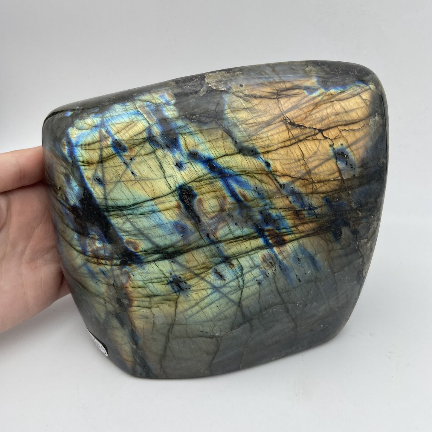 Forme Libre - Labradorite (pièce n°9) - 2,970 kg