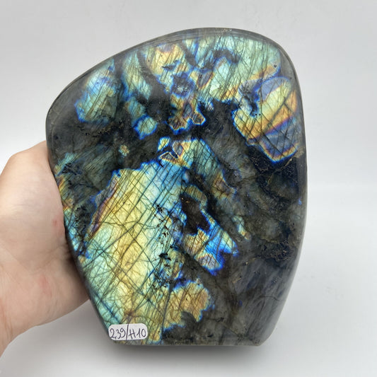 Forme Libre - Labradorite (pièce n°10) - 2,390 kg