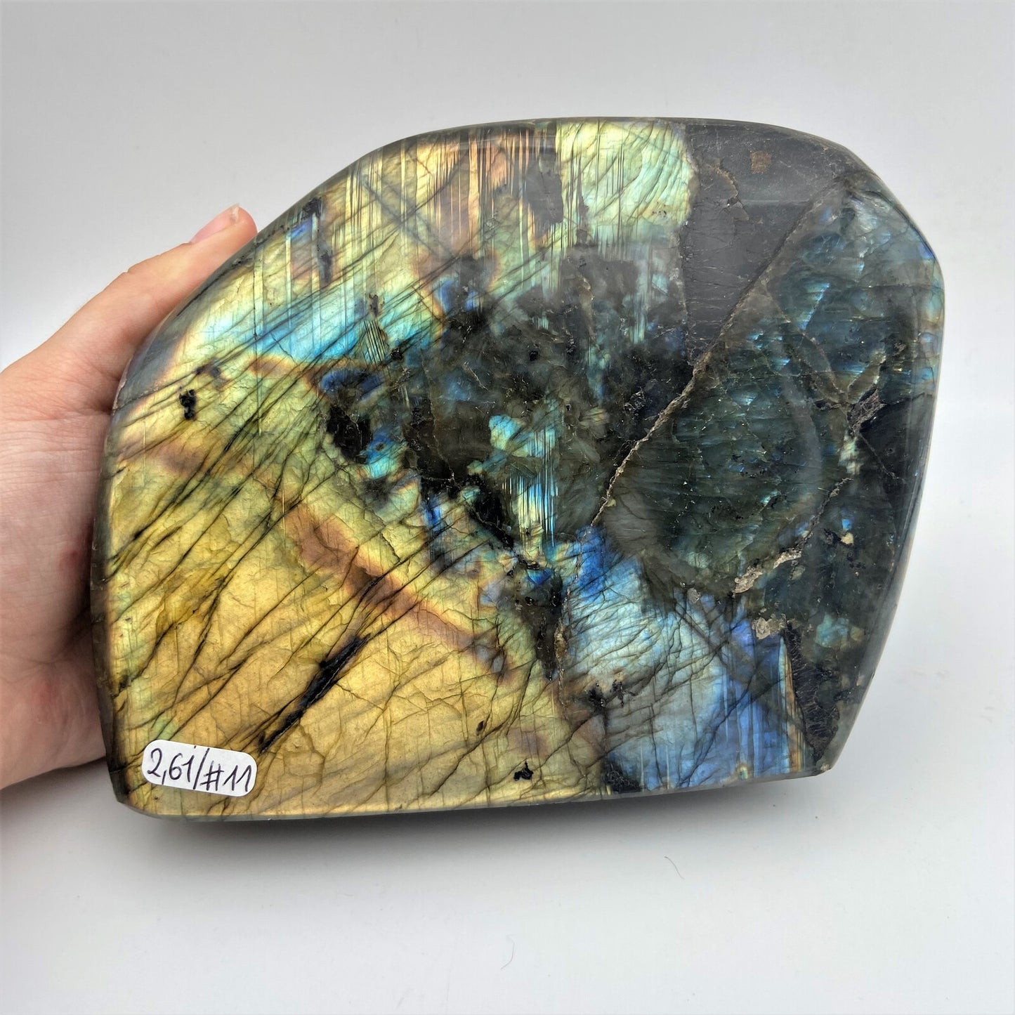 Forme Libre - Labradorite (pièce n°11) - 2,610 kg