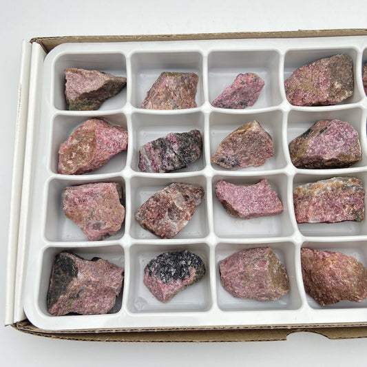Flat/carton 24 pièces - Rhodonite