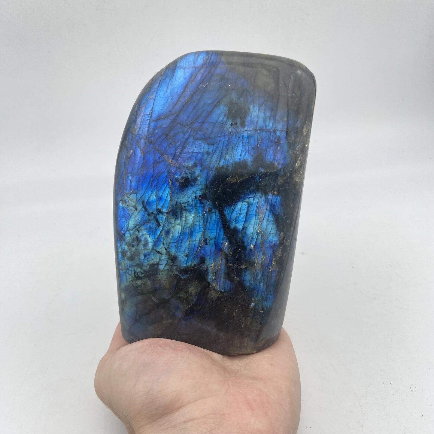 Lot de 3 Formes Libres - Labradorite n°11