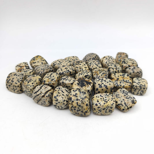 Pierres Roulées - Jaspe Dalmatien