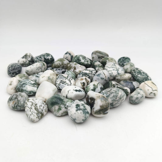 Pierres Roulées - Agate Arbre