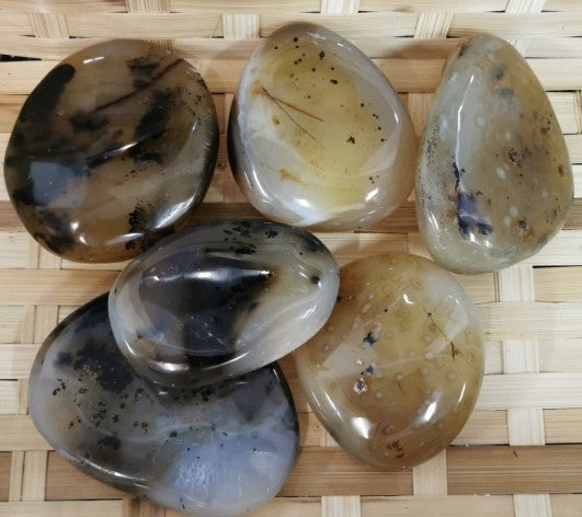 Galets - Agate Dendritique