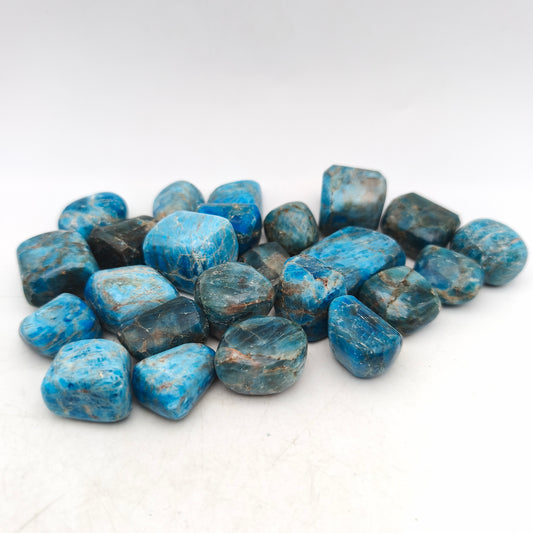 Pierres Roulées - Apatite bleue - (200 g) - Taille #05 - 2/4 cm - Qual. B