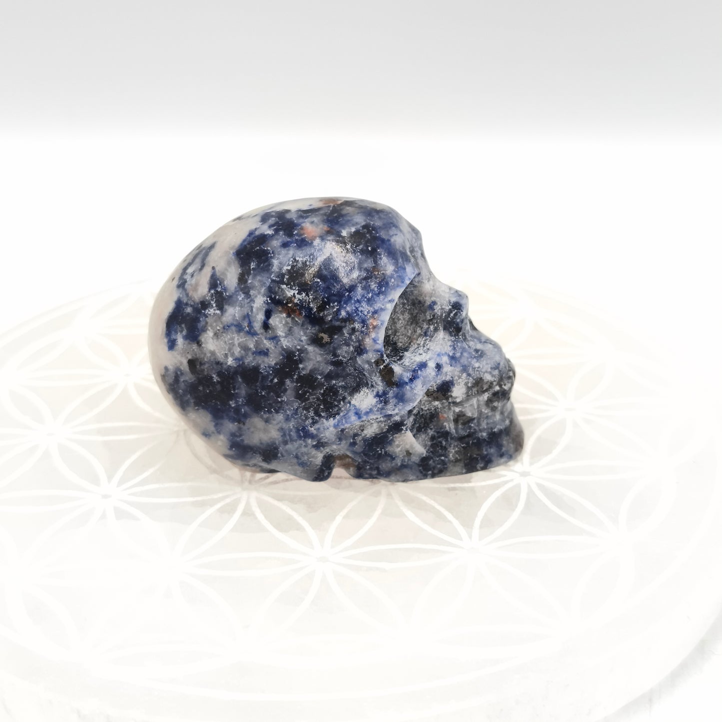 Crane - Sodalite - 6 cm