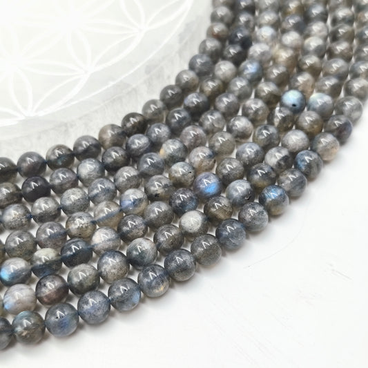 Rang de perles - Labradorite (8 mm) Qual. AA