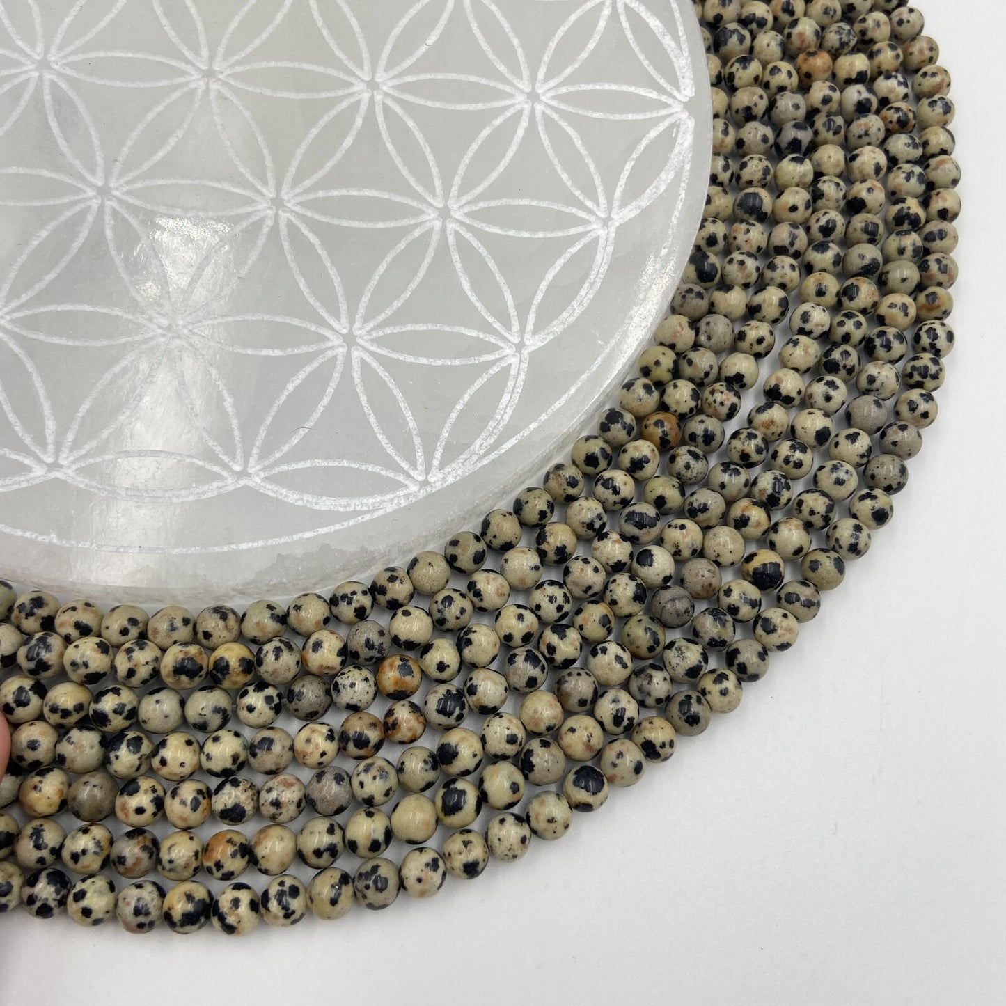 Rang - Jaspe Dalmatien (6 mm)