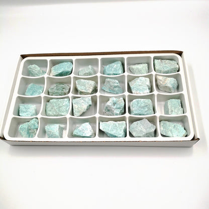 Flat/carton 24 pièces - Amazonite