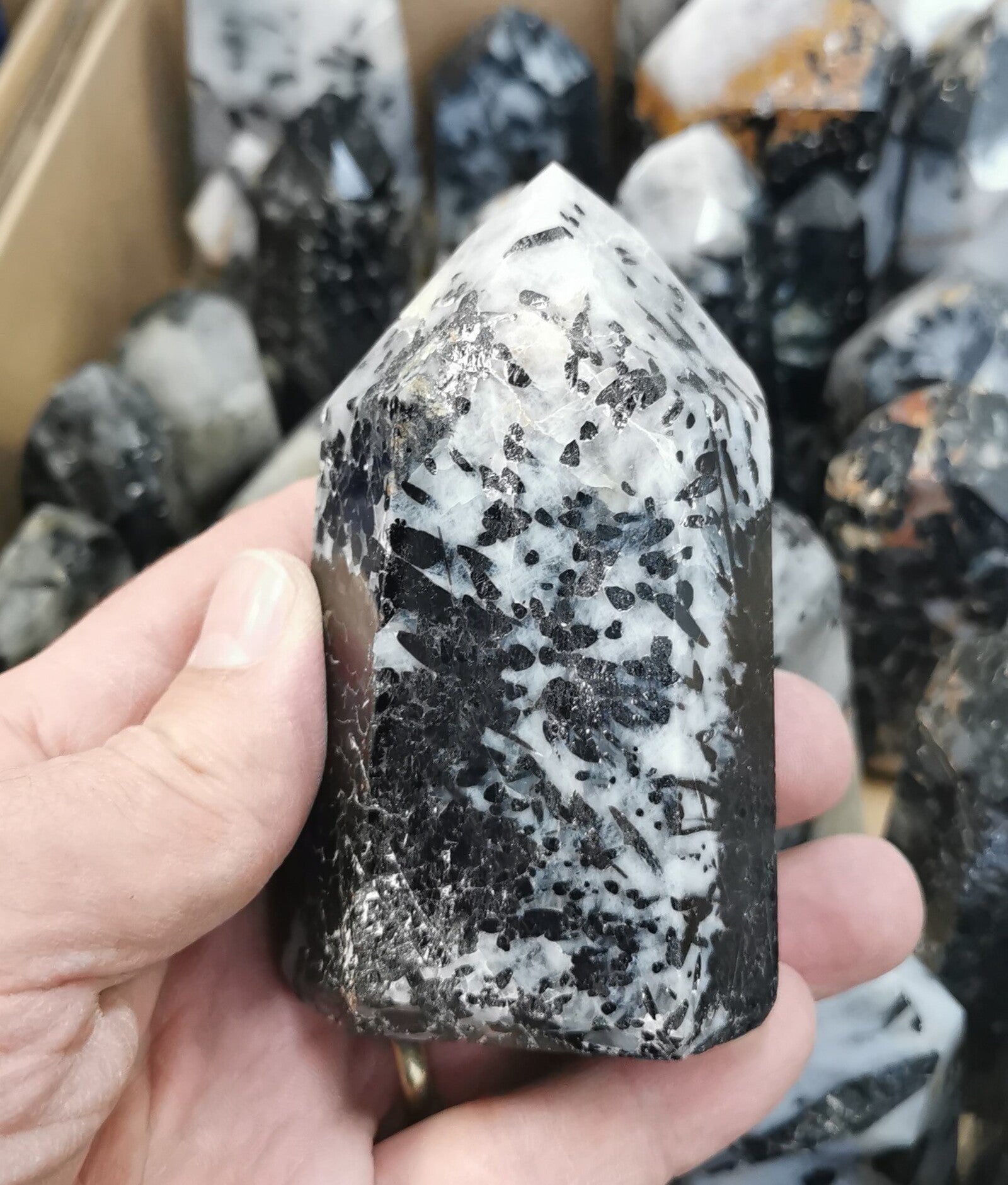 Pointe Tourmaline noire et quartz