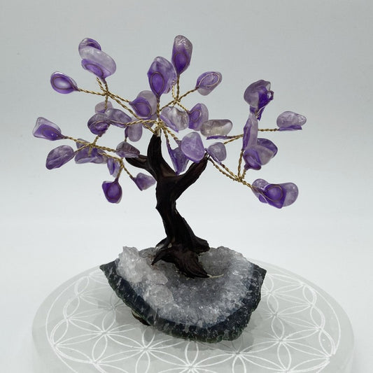 Arbre de vie - Améthyste