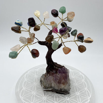 Arbre de Vie - Mix de Pierres