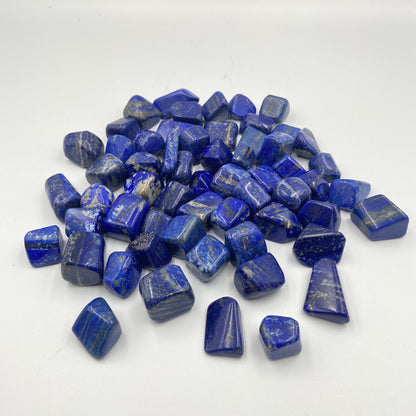 Pierres Roulées - Lapis Lazuli EXTRA (T4)