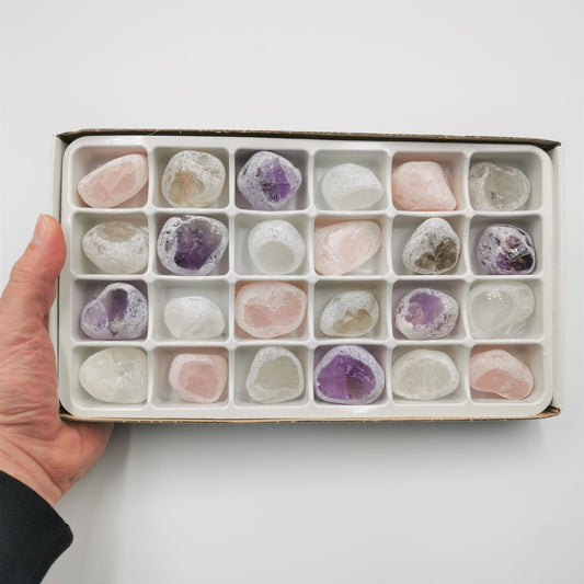 Flat/carton 24 pièces - Oeufs d'Ema