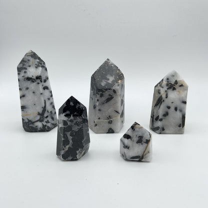 Lot de 5 Pointes Tourmaline / Quartz n°4