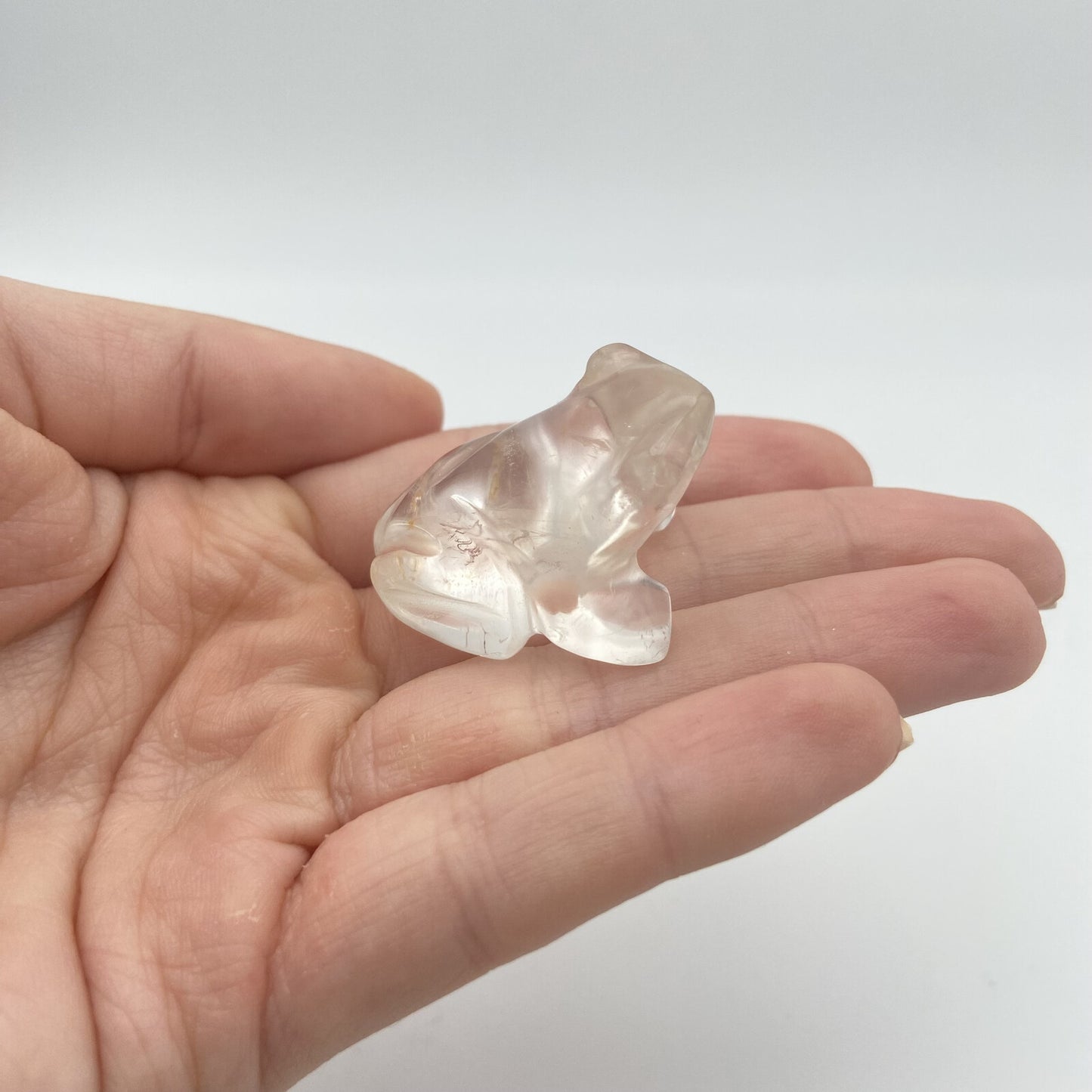 Animaux - Cristal de Roche