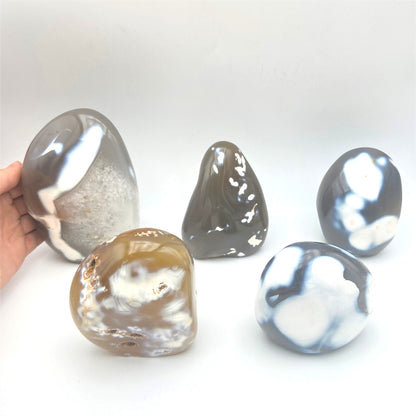Lot de 5 Formes Libres - Agate Orque n°1