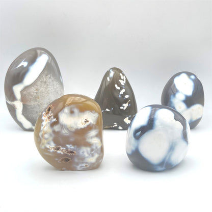 Lot de 5 Formes Libres - Agate Orque n°1