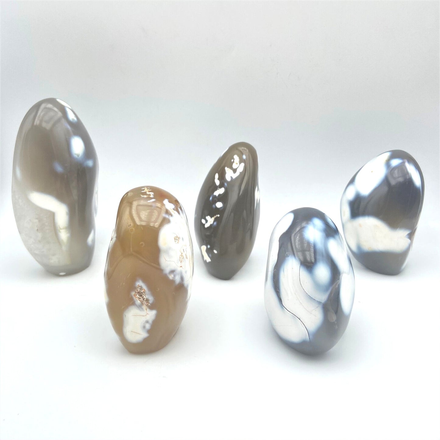 Lot de 5 Formes Libres - Agate Orque n°1