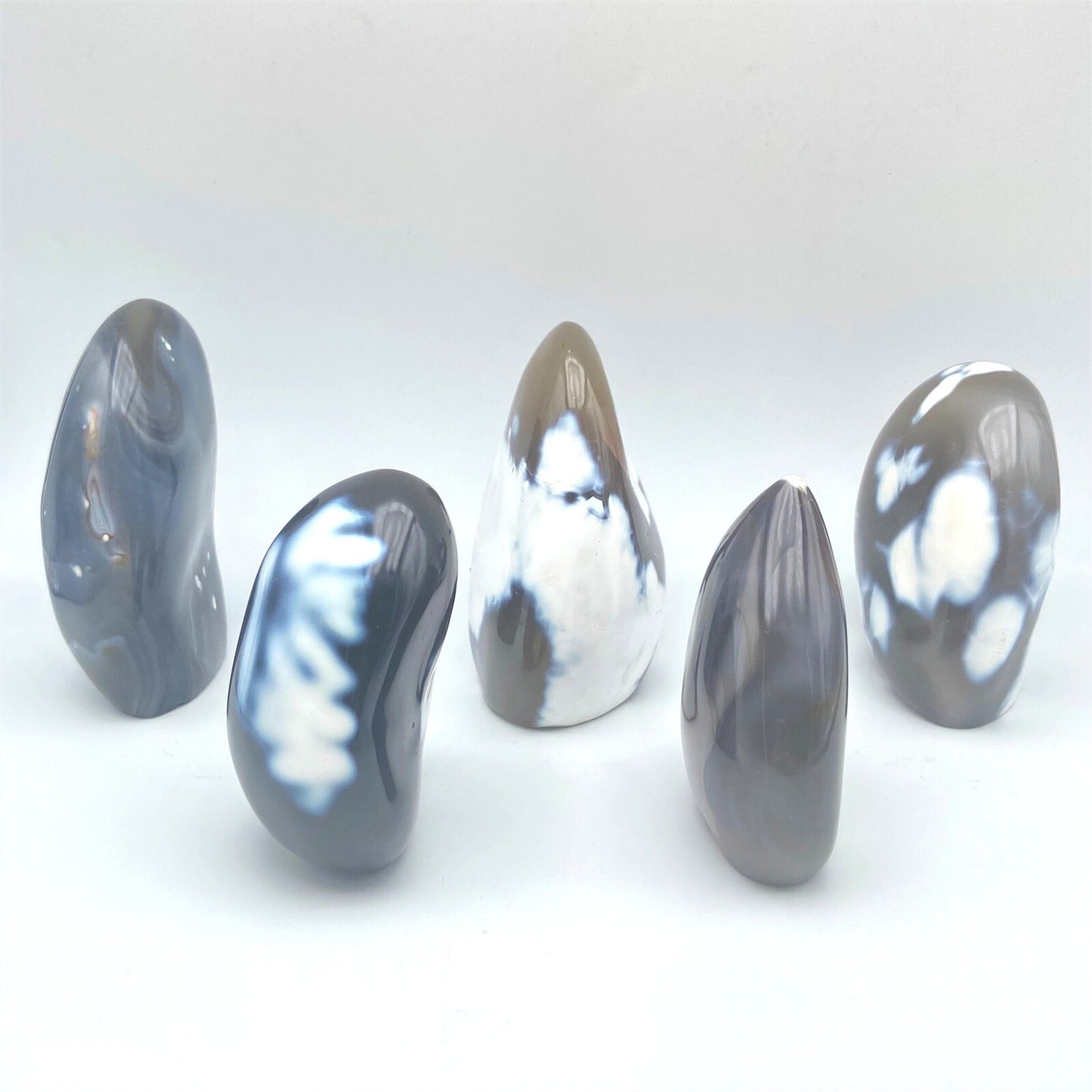Lot de 5 Formes Libres - Agate Orque n°2