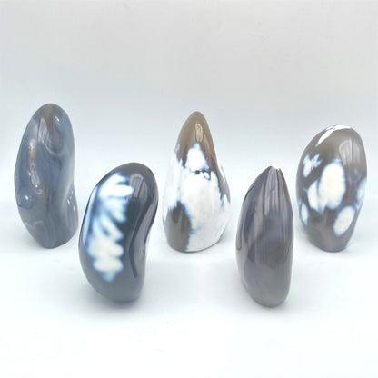 Lot de 5 Formes Libres - Agate Orque n°2