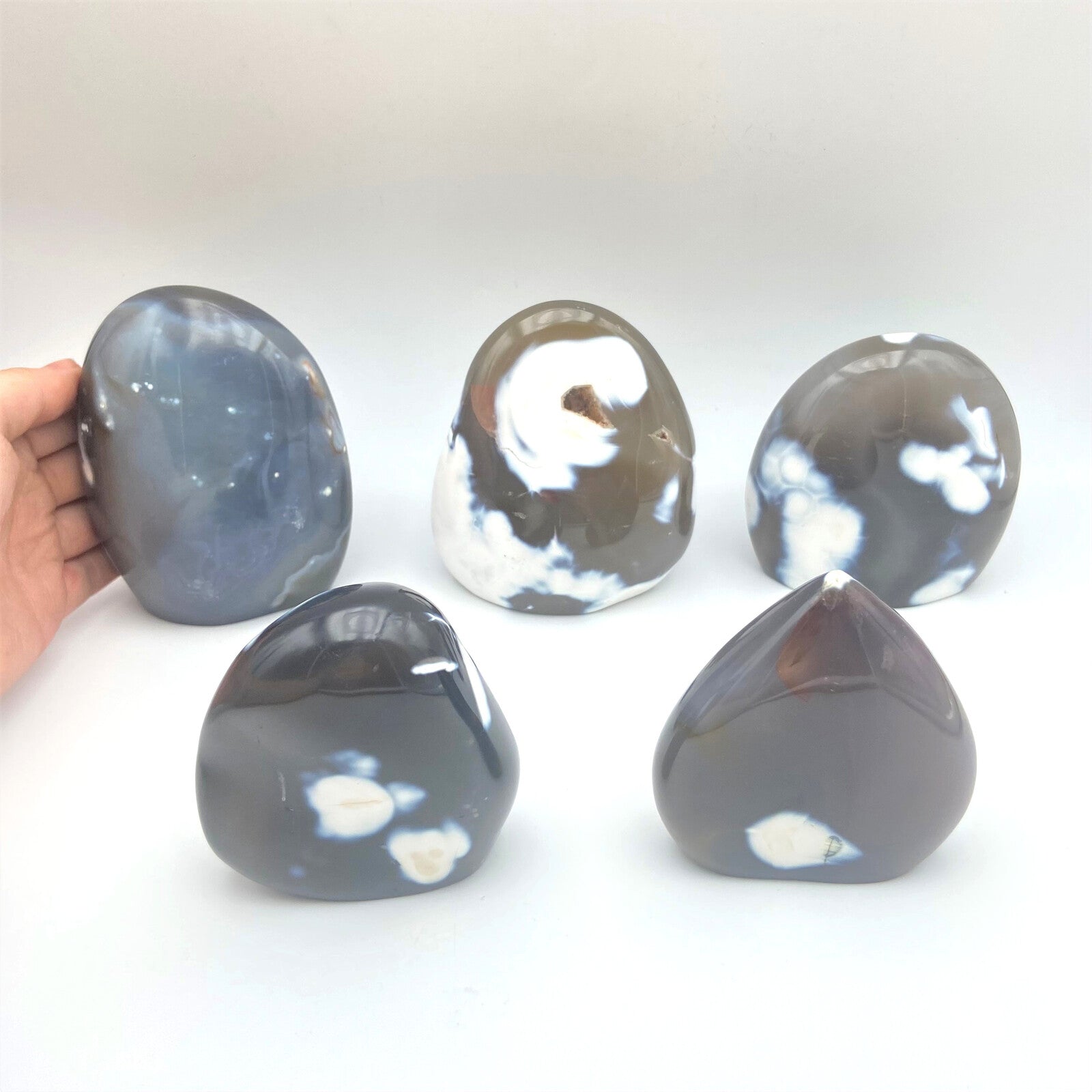 Lot de 5 Formes Libres - Agate Orque n°2