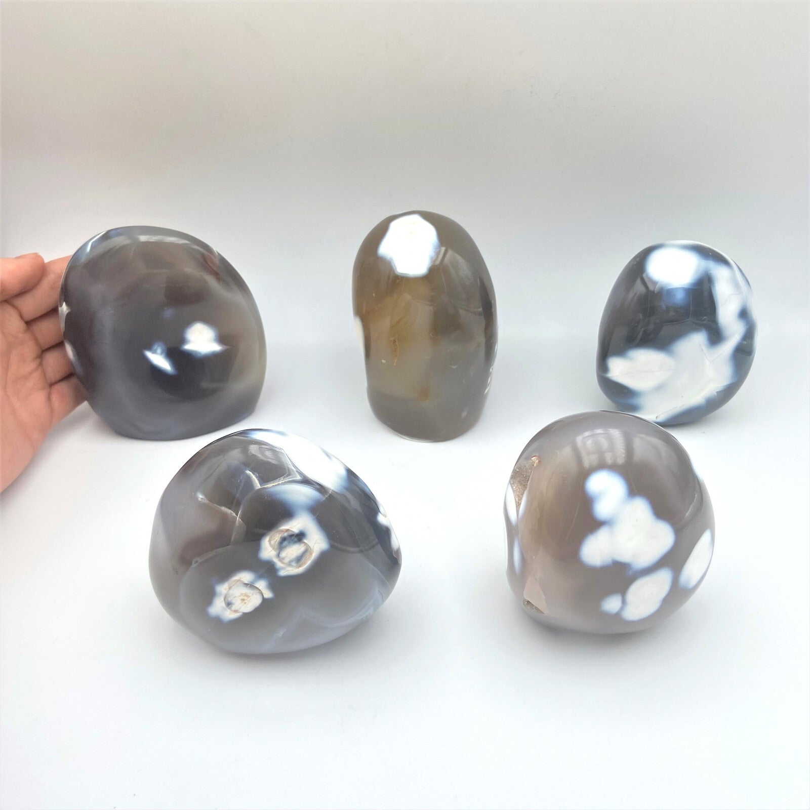 Lot de 5 Formes Libres - Agate Orque n°3