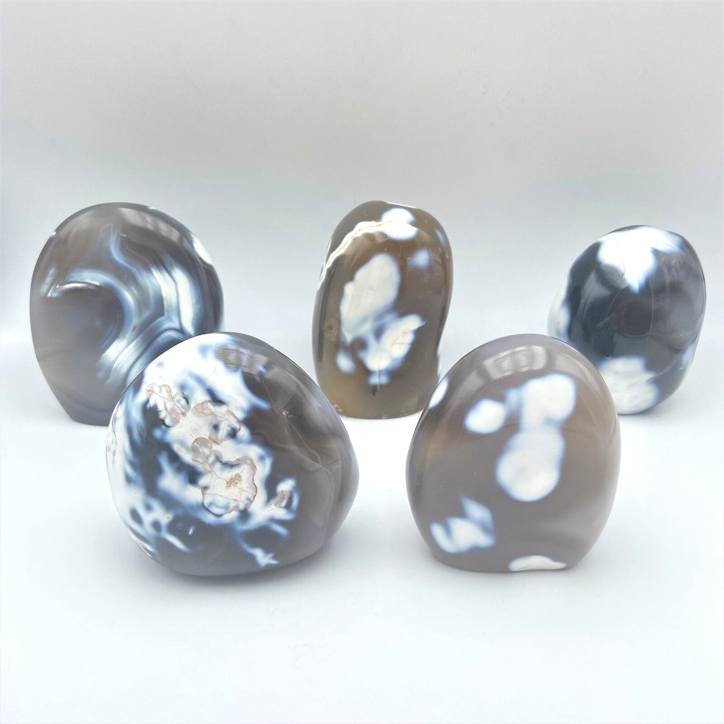 Lot de 5 Formes Libres - Agate Orque n°3