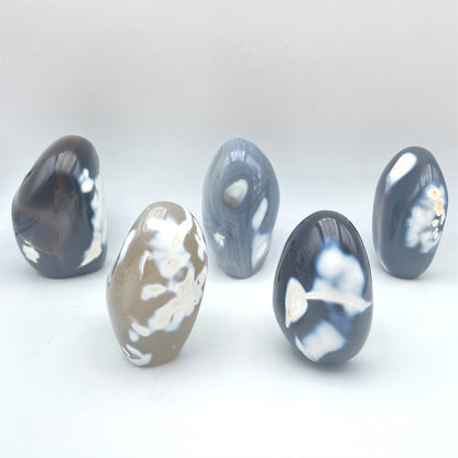 Lot de 5 Formes Libres - Agate Orque n°4