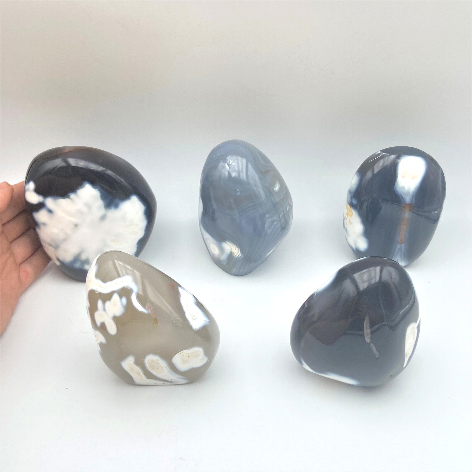 Lot de 5 Formes Libres - Agate Orque n°4