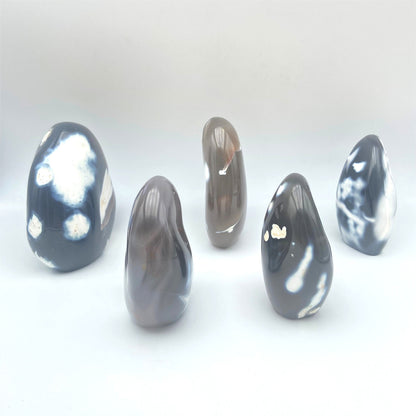 Lot de 5 Formes Libres - Agate Orque n°5