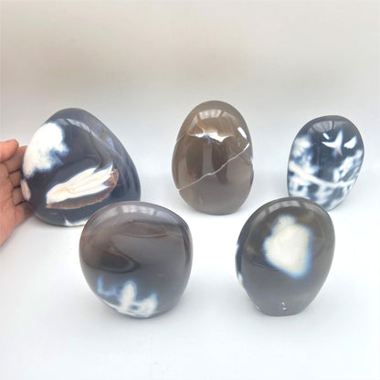 Lot de 5 Formes Libres - Agate Orque n°5