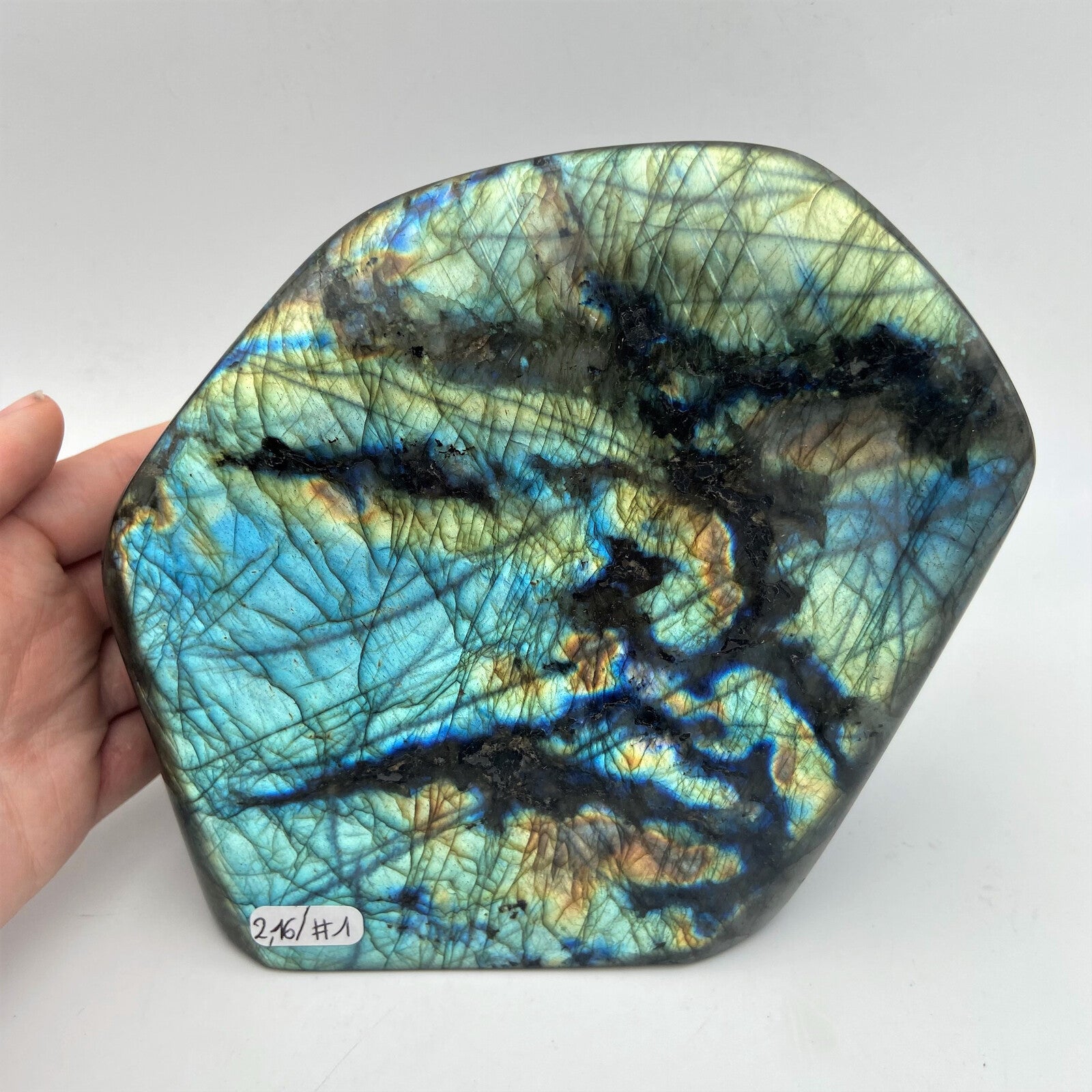 Forme Libre - Labradorite (pièce n°1) - 2,160 kg