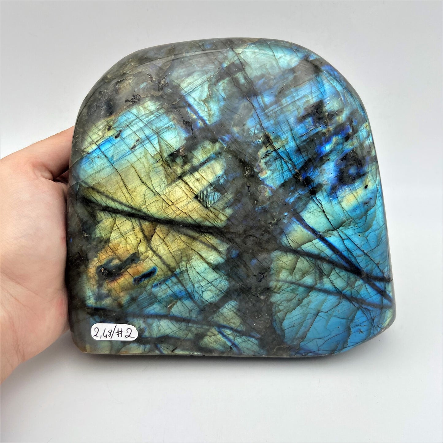 Forme Libre - Labradorite (pièce n°2) - 2,480 kg