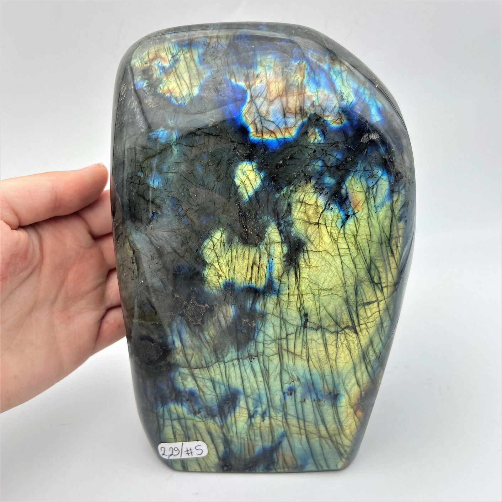 Forme Libre - Labradorite (pièce n°5) - 2,290 kg