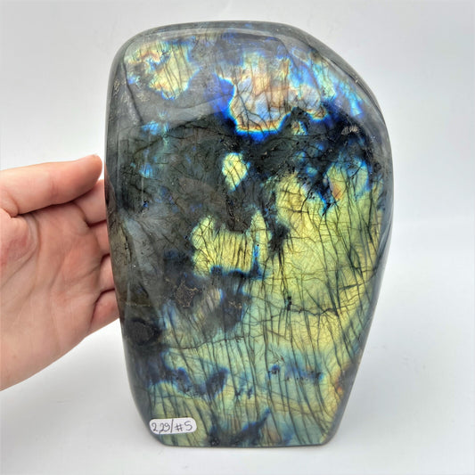 Forme Libre - Labradorite (pièce n°5) - 2,290 kg