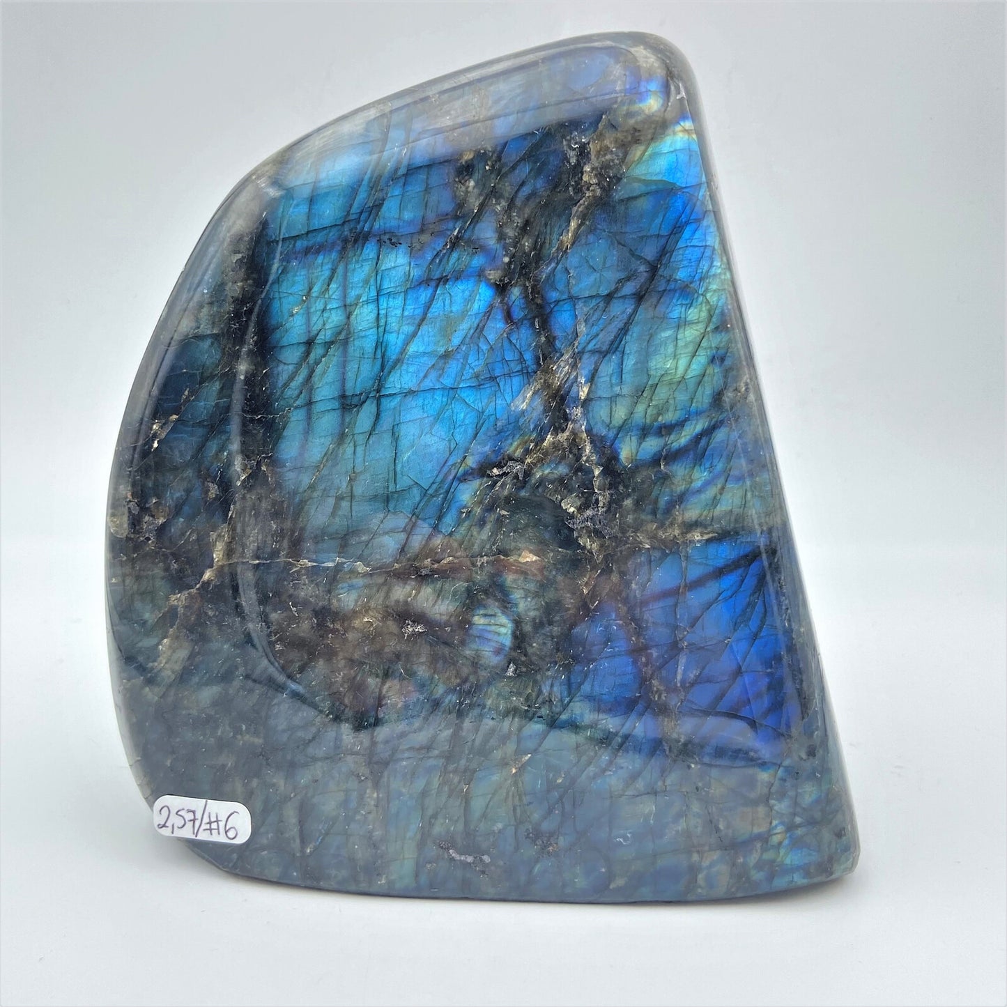Forme Libre - Labradorite (pièce n°6) - 2,570 kg