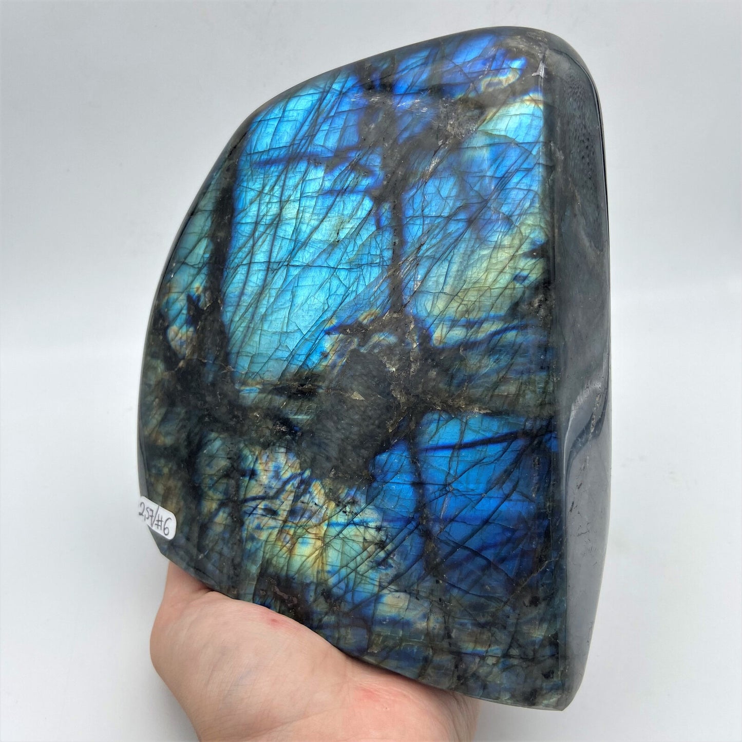 Forme Libre - Labradorite (pièce n°6) - 2,570 kg