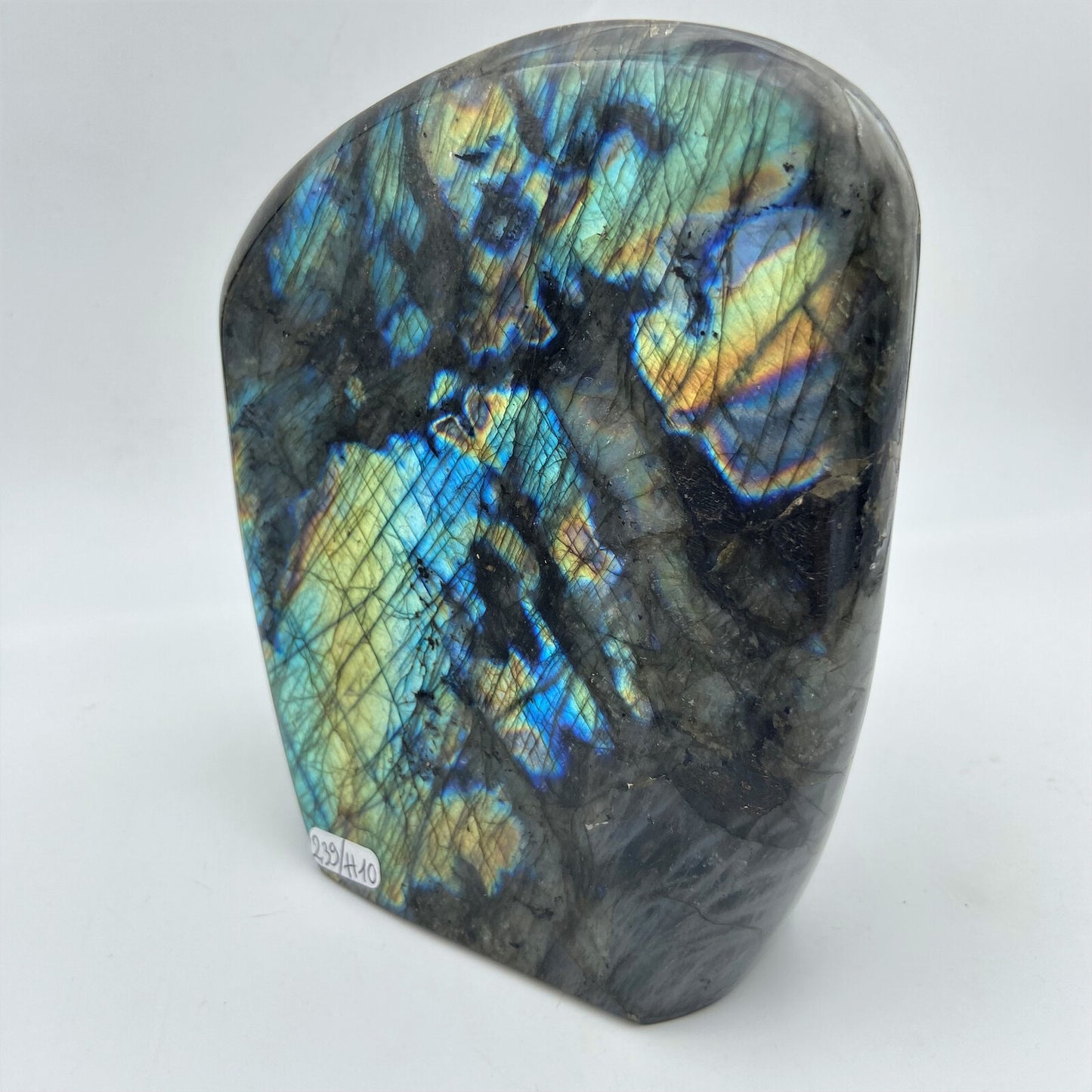 Forme Libre - Labradorite (pièce n°10) - 2,390 kg