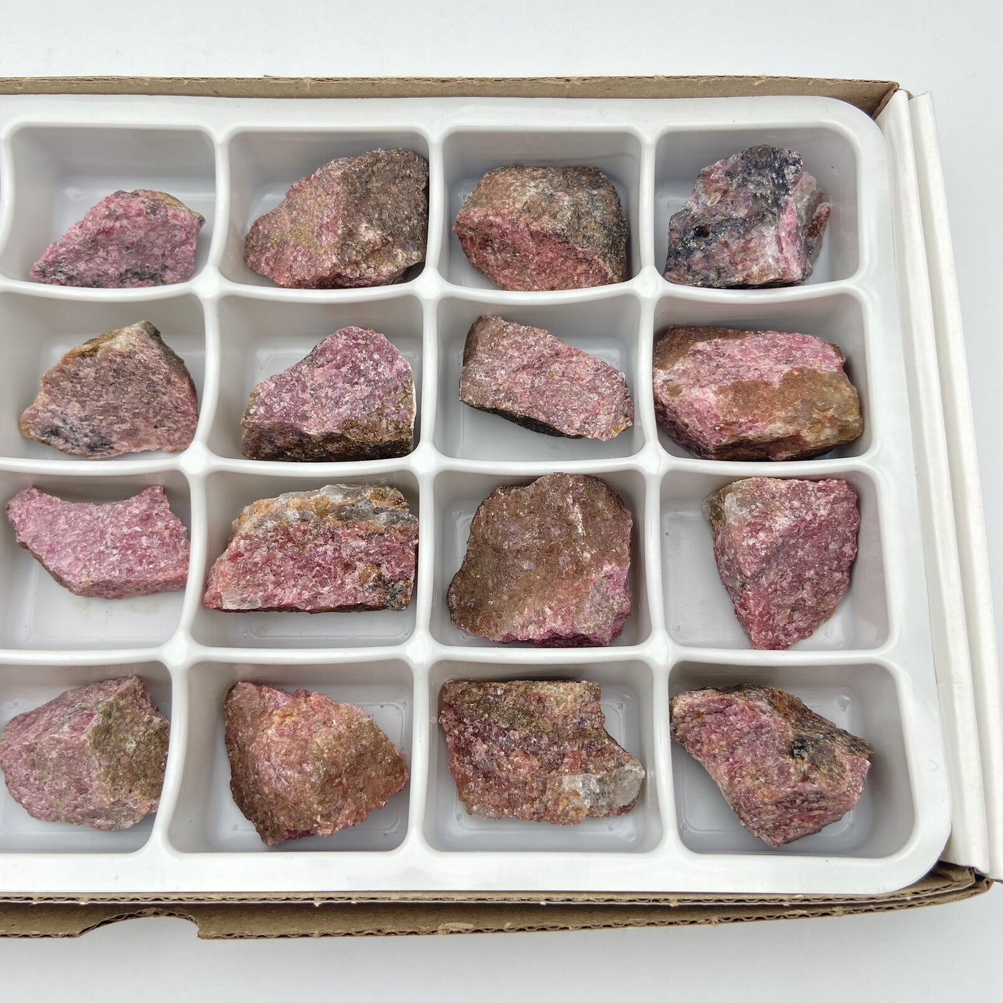 Flat/carton 24 pièces - Rhodonite
