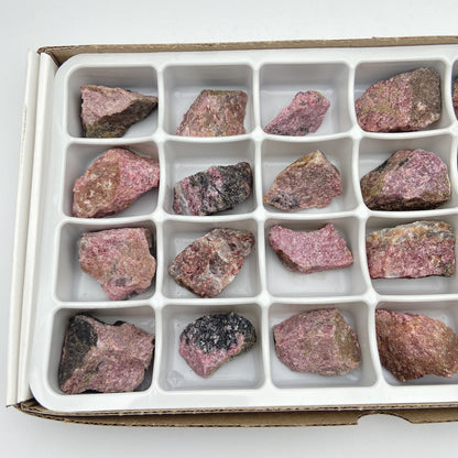 Flat/carton 24 pièces - Rhodonite