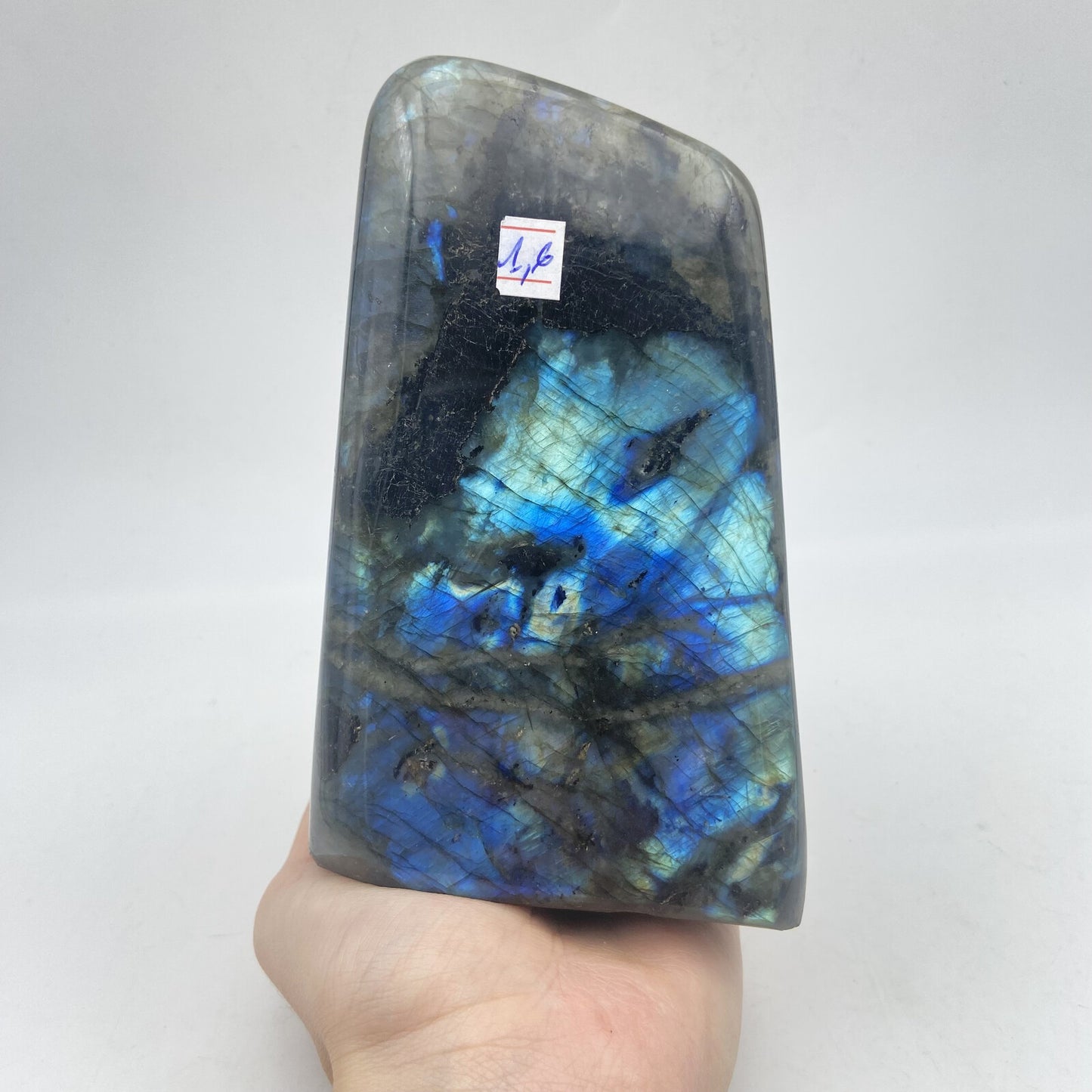 Lot de 3 Formes Libres - Labradorite n°7