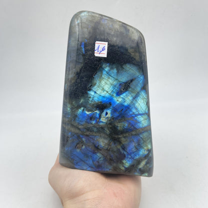 Lot de 3 Formes Libres - Labradorite n°7