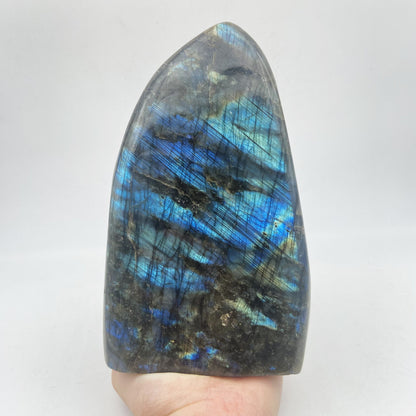 Lot de 3 Formes Libres - Labradorite n°8