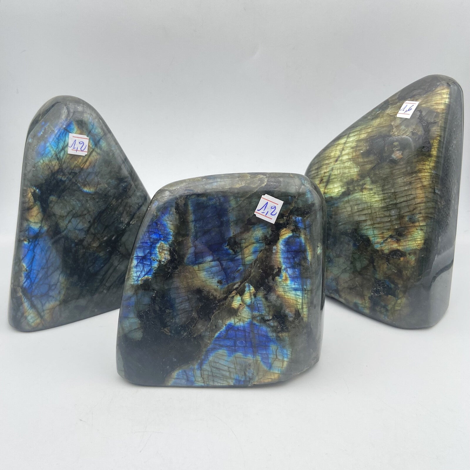 Lot de 3 Formes Libres - Labradorite n°9